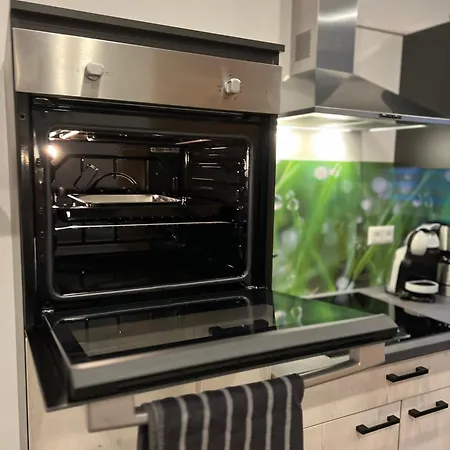 Ganzes Haus Mit Einer Terrasse, Garten Und Klimaanlage Coblence