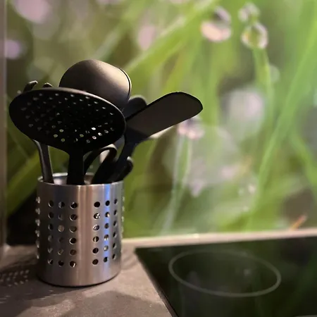 別荘 Ganzes Haus Mit Einer Terrasse, Garten Und Klimaanlage コブレンツ