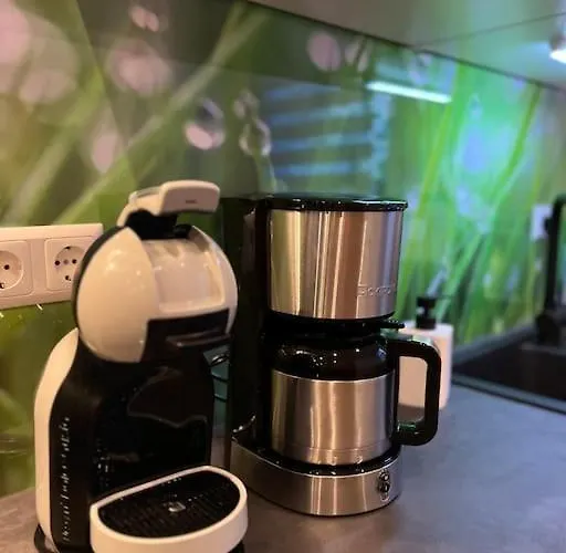 Ganzes Haus Mit Einer Terrasse, Garten Und Klimaanlage Кобленц