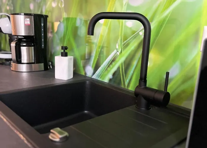 Ganzes Haus Mit Einer Terrasse, Garten Und Klimaanlage * Кобленц